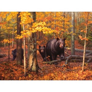 SunsOut (62336) - Greg Alexander: "Many Faces of the Woods" - 1000 pieces puzzle