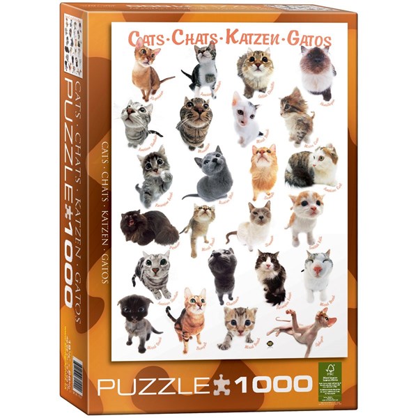 Eurographics (6000-1511) - "Cat Breeds" - 1000 pieces puzzle