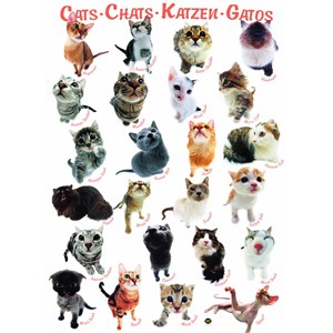 Eurographics (6000-1511) - "Cat Breeds" - 1000 pieces puzzle