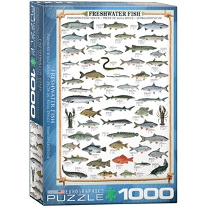 Eurographics (6000-0312) - "Freshwater Fish" - 1000 pieces puzzle