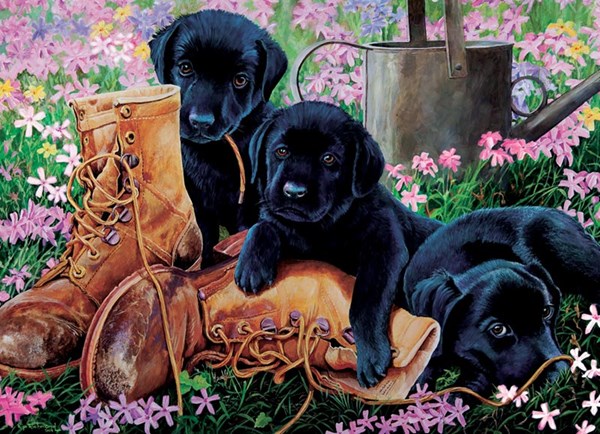 Cobble Hill (58851) - "Black Lab Puppies" - 35 pieces puzzle