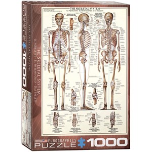 Eurographics (6000-3970) - "The Skeletal System" - 1000 pieces puzzle