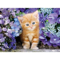Clementoni (30415) - "Ginger Cat in Flowers" - 500 pieces puzzle