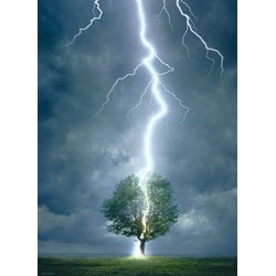 Eurographics (6000-4570) - "Lightning Striking Tree" - 1000 pieces puzzle