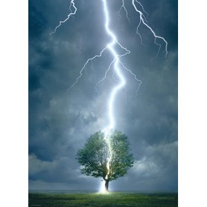 Eurographics (6000-4570) - "Lightning Striking Tree" - 1000 pieces puzzle