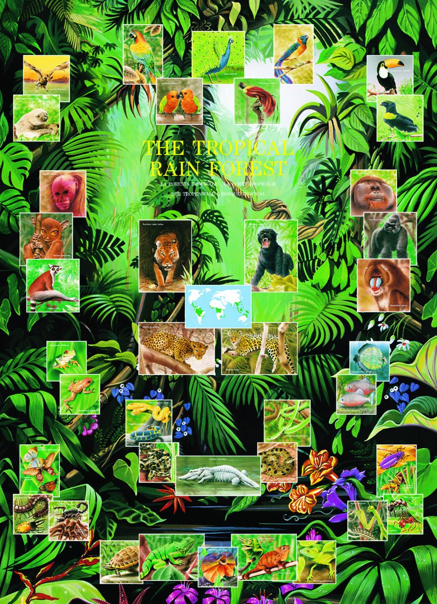 Eurographics the Tropical Rain Forest Puzzle 1000 Pieces 
