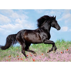 Ravensburger (12803) - "Beautiful Horse" - 200 pieces puzzle