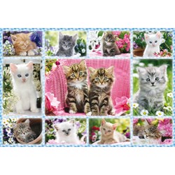 Schmidt Spiele (56135) - "Kittens" - 100 pieces puzzle