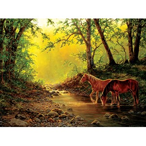 SunsOut (48851) - Chris Cummings: "Still Water Setting" - 1000 pieces puzzle
