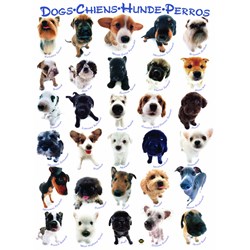 https://media.puzzlelink.net/images/puzzle-products/3935/dba0a5e2-c1c1-4574-a9ce-e2fb835e46ad/eurographics-6000-1510-dog-breeds-1000-pieces-puzzle.jpg?width=250&height=250&bgcolor=ffffff