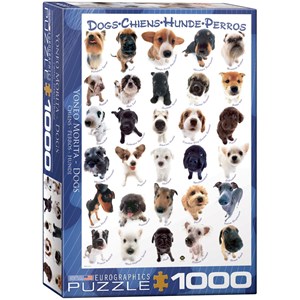 Eurographics (6000-1510) - "Dog Breeds" - 1000 pieces puzzle