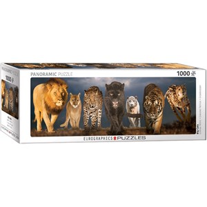 Eurographics (6010-0297) - "Big Cats" - 1000 pieces puzzle