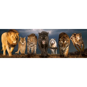 Eurographics (6010-0297) - "Big Cats" - 1000 pieces puzzle
