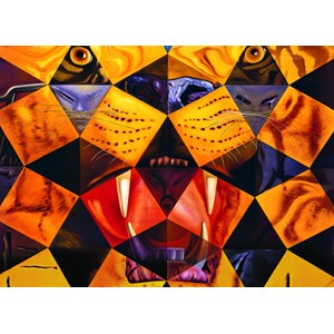 Eurographics (6000-0843) - Salvador Dali: "Fifty Abstract Paintings" - 1000 pieces puzzle