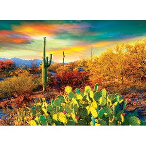 Eurographics (6000-0690) - "Desert Dreams" - 1000 pieces puzzle