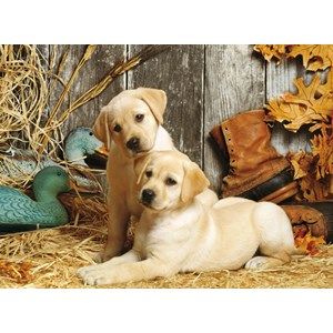 Clementoni (31976) - "Hunting Dogs" - 1500 pieces puzzle