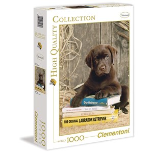 Clementoni (39230) - "Laying on the Books" - 1000 pieces puzzle