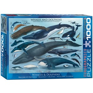 Eurographics (6000-0082) - "Whales & Dolphins" - 1000 pieces puzzle