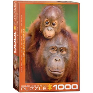Eurographics (6000-0638) - "Orangutan & Baby" - 1000 pieces puzzle