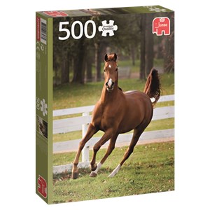 Jumbo (18538) - "Playful Foal" - 500 pieces puzzle