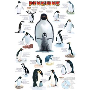 Eurographics (6100-0044) - "Penguins" - 100 pieces puzzle
