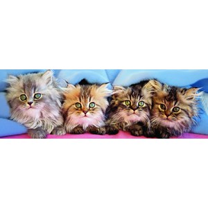 Eurographics (6005-4678) - Takino: "Cats Under Blanket" - 750 pieces puzzle