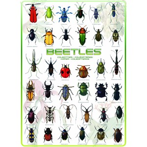 Eurographics (6000-0081) - "Beetles" - 1000 pieces puzzle