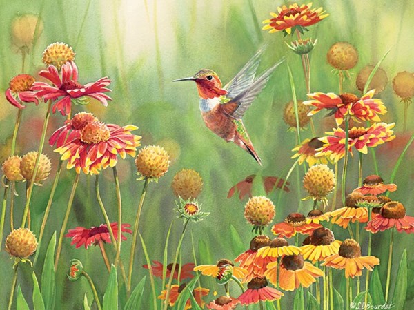 Cobble Hill (52078) - "Rufous Hummingbird" - 500 pieces puzzle