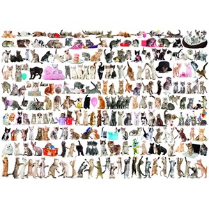 Eurographics (6000-0580) - "The World of Cats" - 1000 pieces puzzle