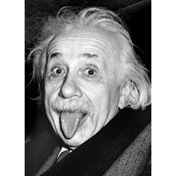 Eurographics (6000-1324) - "Einstein's Tongue" - 1000 pieces puzzle