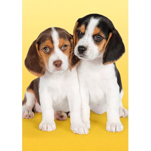 Clementoni (30356) - "Nice Beagles" - 500 pieces puzzle