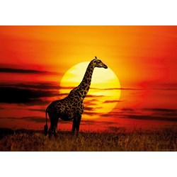 Heye (29688) - "Sunny Giraffe" - 1000 pieces puzzle