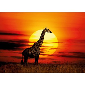 Heye (29688) - "Sunny Giraffe" - 1000 pieces puzzle