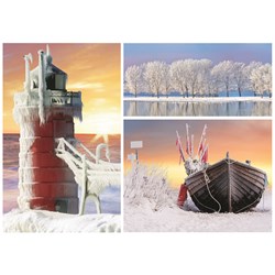 Trefl (372427) - "Winter" - 500 pieces puzzle