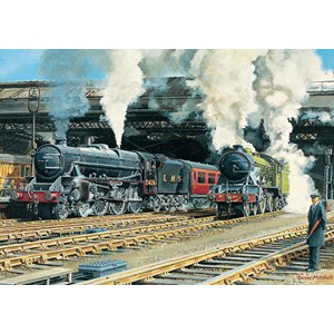 Falcon (11120) - Trevor Mitchell: "Full Steam Ahead" - 500 pieces puzzle