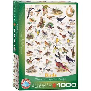 Eurographics (6000-1259) - "Birds" - 1000 pieces puzzle