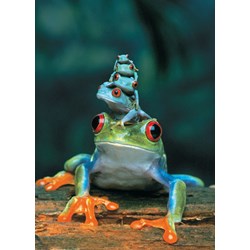Eurographics (6000-3004) - "Red-Eyed Tree Frog" - 1000 pieces puzzle