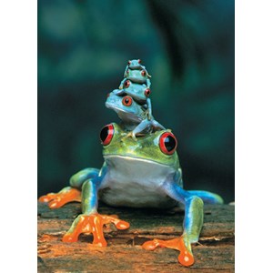 Eurographics (6000-3004) - "Red-Eyed Tree Frog" - 1000 pieces puzzle