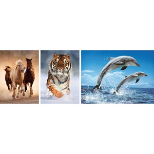 Clementoni (08004) - "Animals" - 1000 pieces puzzle