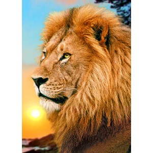 Trefl (371918) - "Lion" - 500 pieces puzzle