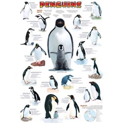 Eurographics (6000-0044) - "Penguins" - 1000 pieces puzzle