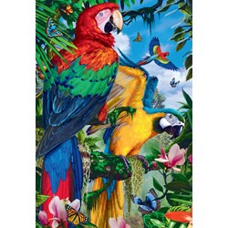 Jumbo (18330) - "Pretty Parrots" - 1000 pieces puzzle