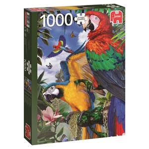 Jumbo (18330) - "Pretty Parrots" - 1000 pieces puzzle