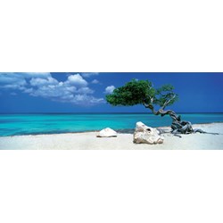 Heye (29399) - Alexander von Humboldt: "Divi Divi Tree" - 1000 pieces puzzle