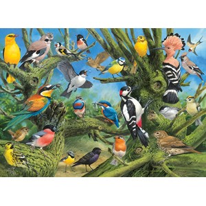 Eurographics (6000-0967) - John Francis: "Garden Birds" - 1000 pieces puzzle