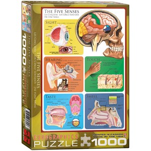 Eurographics (6000-0305) - "The Five Senses" - 1000 pieces puzzle