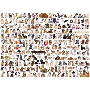 Eurographics (6000-0581) - "The World of Dogs" - 1000 pieces puzzle