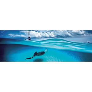 Heye (29470) - Alexander von Humboldt: "Stingray" - 1000 pieces puzzle