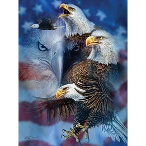 SunsOut (46530) - Steven Michael Gardner: "Patriotic Eagles" - 1000 pieces puzzle