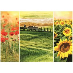 Trefl (104103) - "Romantic Sunny Toscan" - 1000 pieces puzzle